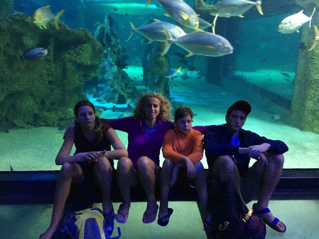 Sydney_Aquarium_Reef